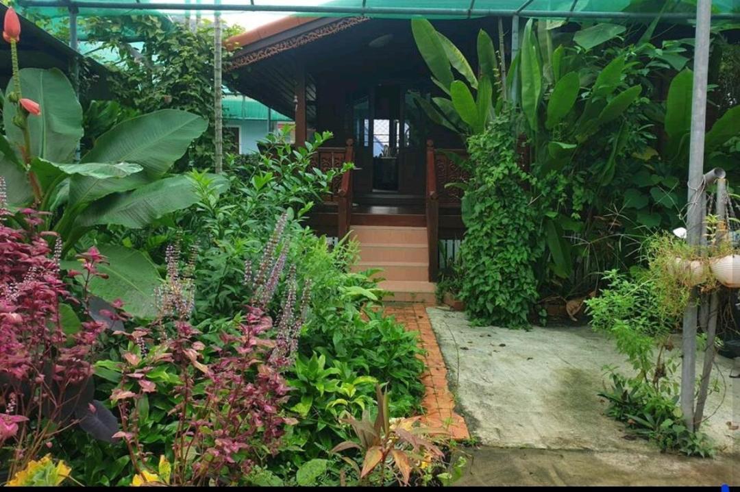 Thai Authentic Wooden House At Kata المظهر الخارجي الصورة